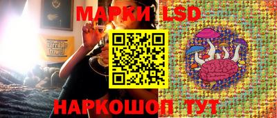гашиш Новодвинск