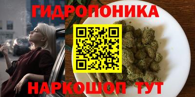 гашиш Новодвинск