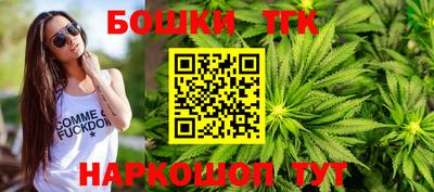 амф Новокубанск