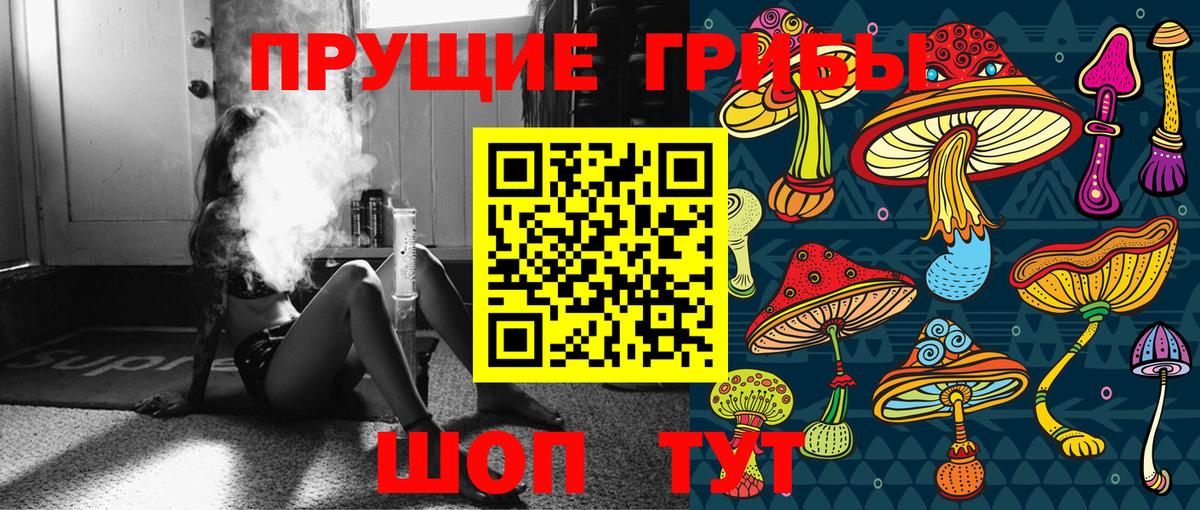 Галлюциногенные грибы Psilocybe  Вход с VPN  где купить наркотик  Старая Купавна 