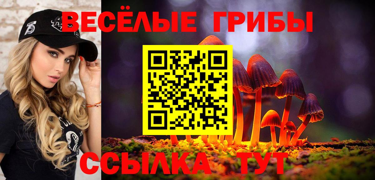 Галлюциногенные грибы мицелий Старая Купавна
